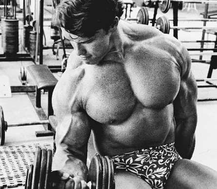 21 days to sales total body fitness